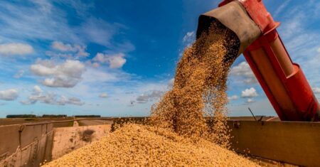 Divergências em contratos de parceria e arrendamento estão no foco da Receita Federal