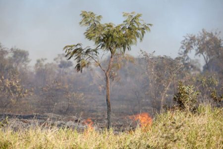 Ocorrências de incêndios caem em MS, mas aumentam em algumas regiões do Estado