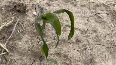 Medidas emergenciais ao para apoiar agricultores em crise