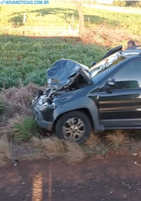 NOVA ANDRADINA: Carro utilitário atropela e mata quatro animais na MS-134