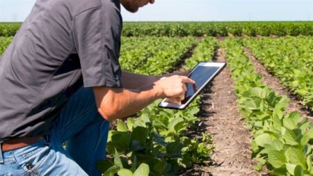 Tecnologia e rentabilidade no agro