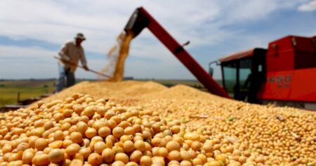 Falta de chuvas reduz produção de soja no Brasil em 5,6%