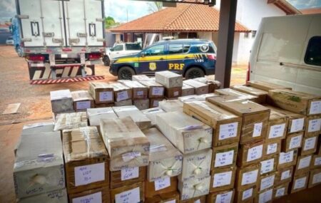 Polícia apreende mais de sete mil celulares sem documentação fiscal