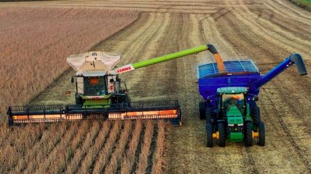 Safra de soja está prevista em 150,1 milhões de toneladas
