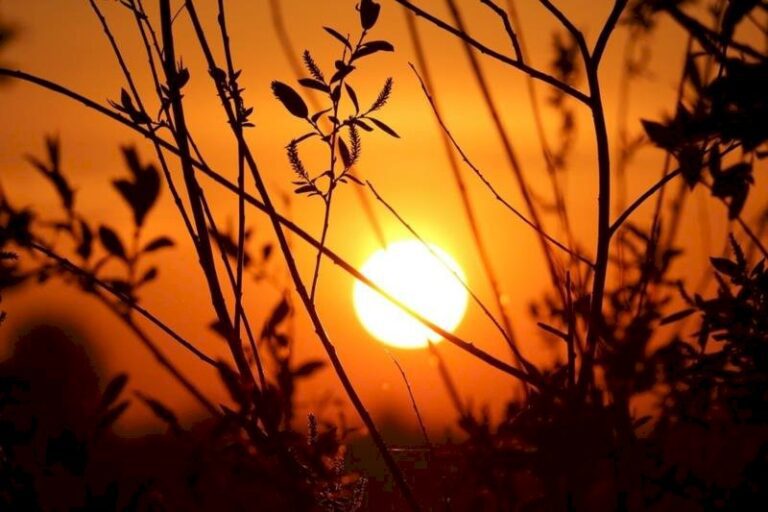 Sexta-feira tem previsão de sol e maior probabilidade de chuvas em apenas duas regiões de MS