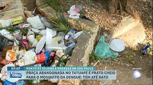 Terreno abandonado com mato, lixo e água parada preocupa vizinhos