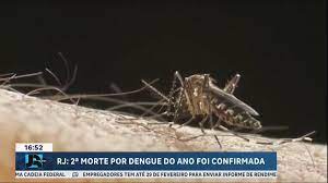Belo Horizonte (MG) registra média de 70 novos casos de dengue por dia