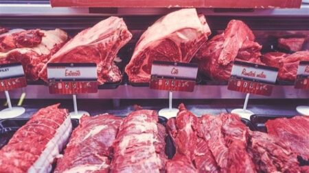 Produção de carnes no Brasil atinge novo patamar