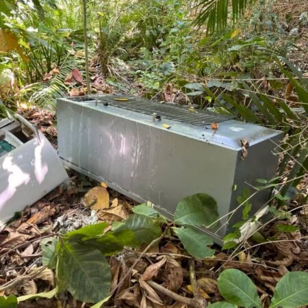 Mulher é encontrada em geladeira foi morta pelo genro com ajuda da própria filha
