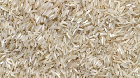 Preços do arroz apontam queda em fevereiro