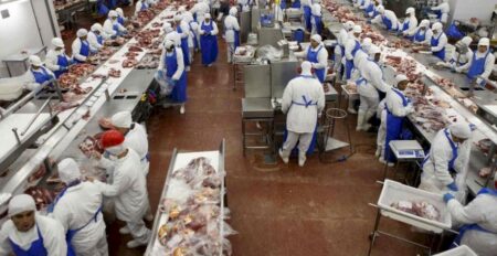 Exportações de carne bovina para os EUA crescem 42% no 1º bimestre de 2024