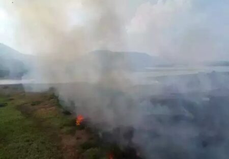 Risco de incêndios faz ministério decretar estado de emergência ambiental em MS