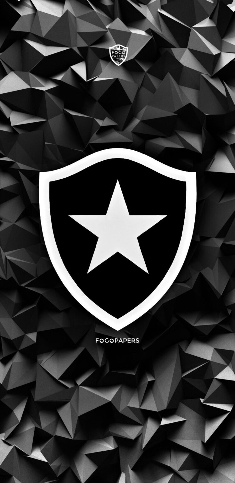 Dono do Botafogo entrega documentos sobre manipulação de resultados