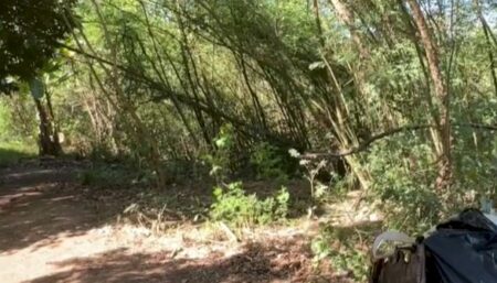 Jovem suspeita de mandar decapitar adolescente é presa
