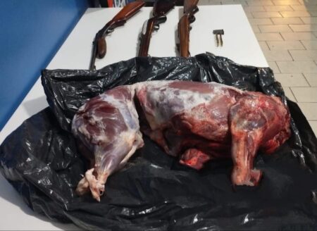 Policiais Ambientais de Bonito prendem dois homens por porte ilegal de arma de fogo e caça ilegal