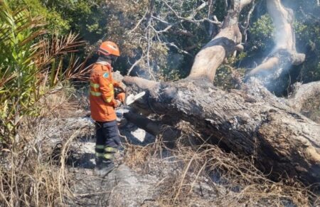 Incêndios florestais no Pantanal e em Naviraí mobilizam bombeiros de MS