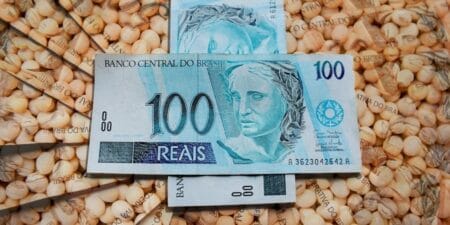 Veja como fecharam os preços da soja nesta véspera de feriado