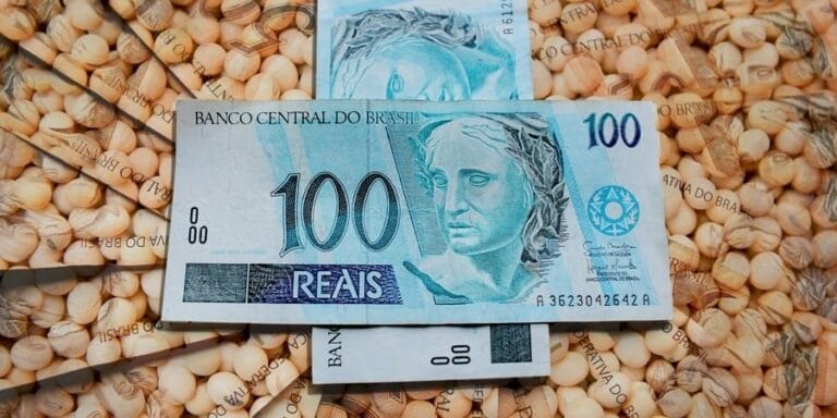 Veja como fecharam os preços da soja nesta véspera de feriado