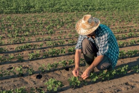 Aprovada nova definição de agricultor familiar e empreendedor rural