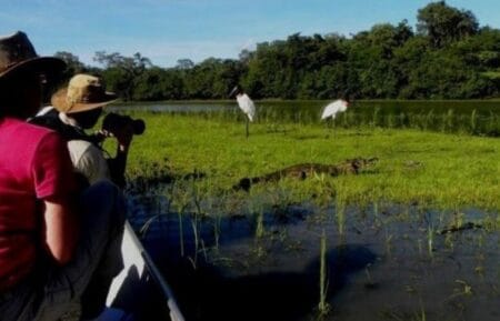 Mato Grosso do Sul lança nova campanha de promoção turística no mercado norte-americano