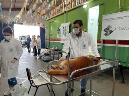 Castramóvel de Batayporã recebe inscrições até o dia 27 de junho