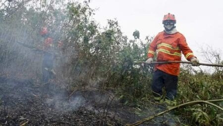União reconhece emergência por incêndios em 12 cidades de MS