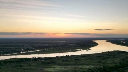 Com seca histórica no Rio Paraguai, falta água até para animais beberem no Pantanal de MS