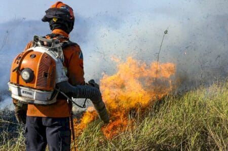 Situação no Pantanal é das piores já vistas, governo discute aumentar recursos