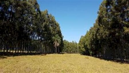 Brasil precisa avançar na gestão de riscos climáticos