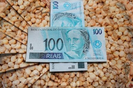 Veja os preços da soja em dia de relatório do USDA