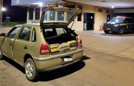 NOVA ANDRADINA: PRF apreende 161 Kg de maconha em veículo