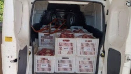 NOVA ANDRADINA: PRF apreende carne que seria levada para escolas, transportada em Fiorino sem resfriamento