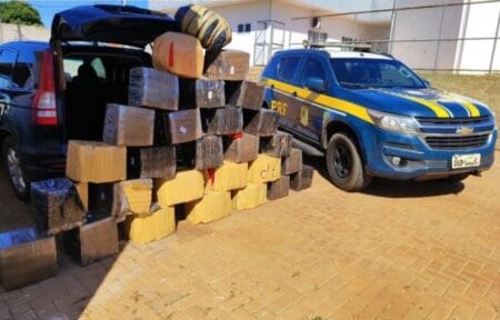 Polícia encontra drogas em veículo após homem tentar fuga e colidir em poste de energia