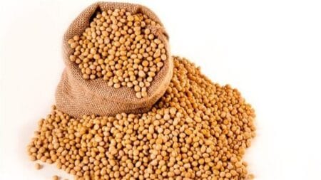 Como está o mercado da soja?