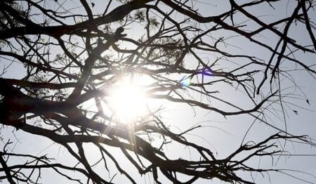 Semana encerra com tempo estável e tem sol como destaque em Mato Grosso do Sul