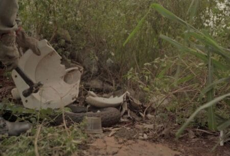 Boletim Epidemiológico: MS registra 14.033 casos confirmados de dengue