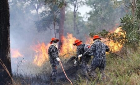 Sob coordenação dos bombeiros de MS, Força Nacional já atua no combate ao fogo no Pantanal