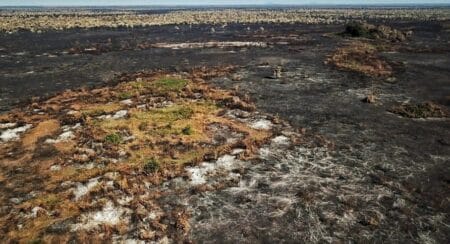 MPF quer identificar e responsabilizar causadores dos incêndios no Pantanal