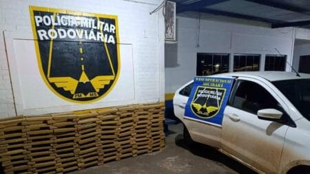 Motorista é preso com mais de R$ 600 mil em maconha na MS-164