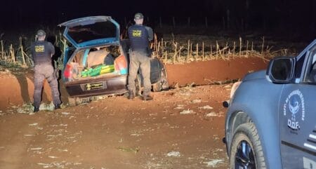 Casal que seguia para Campo Grande com mais de 230 quilos de maconha é preso pelo DOF na MS-164