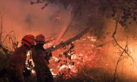 Combate direto e noturno segue como estratégia para controlar focos em seis pontos do Pantanal