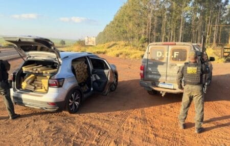 Veículo roubado no RJ é apreendido com mais de 350 quilos de maconha