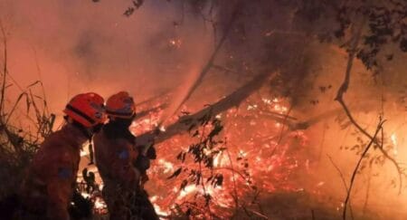 De janeiro ao início de julho, incêndios destruíram 6% do Pantanal de Mato Grosso do Sul