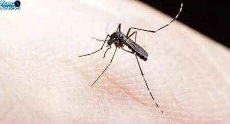 MS bate 13 mil casos confirmados de dengue em semana sem mortes