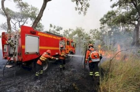 Garoa de só 3 mililitros é esperança para bombeiros no Pantanal