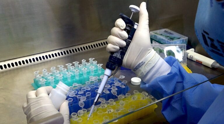 SES confirma primeiro caso autóctone de Febre Oropouche em Mato Grosso do Sul