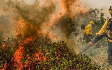 Fogo já consumiu 1,3 milhão de hectares e volta a aumentar no Pantanal