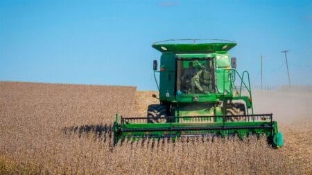 Agricultura Produção de grãos deve cair para 298,6 milhões de toneladas Além da queda na produtividade, houve também uma redução na área plantada de milho BATANEWS/AGROLINK