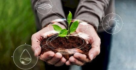 A resiliência climática da agricultura e a segurança alimentar