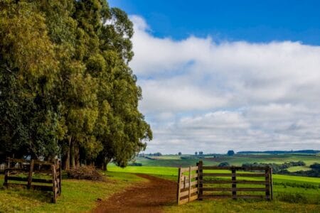 Preço das terras agrícolas cresce 108% em 5 anos no Brasil